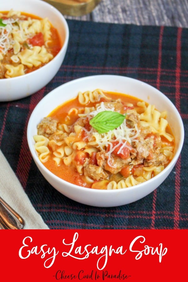 White bowl of soup on a plaid background