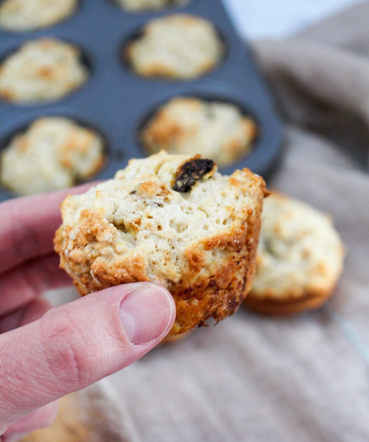 muffin held in hand