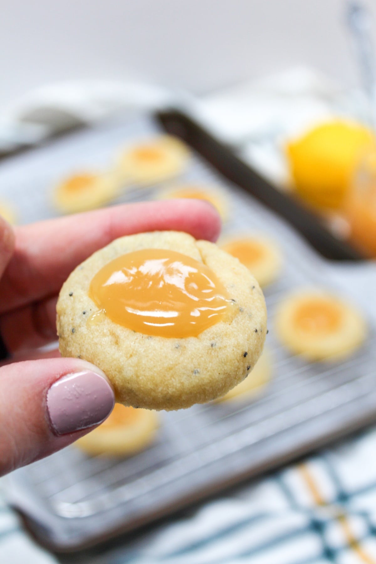 lemon poppy seed cookies held in hand