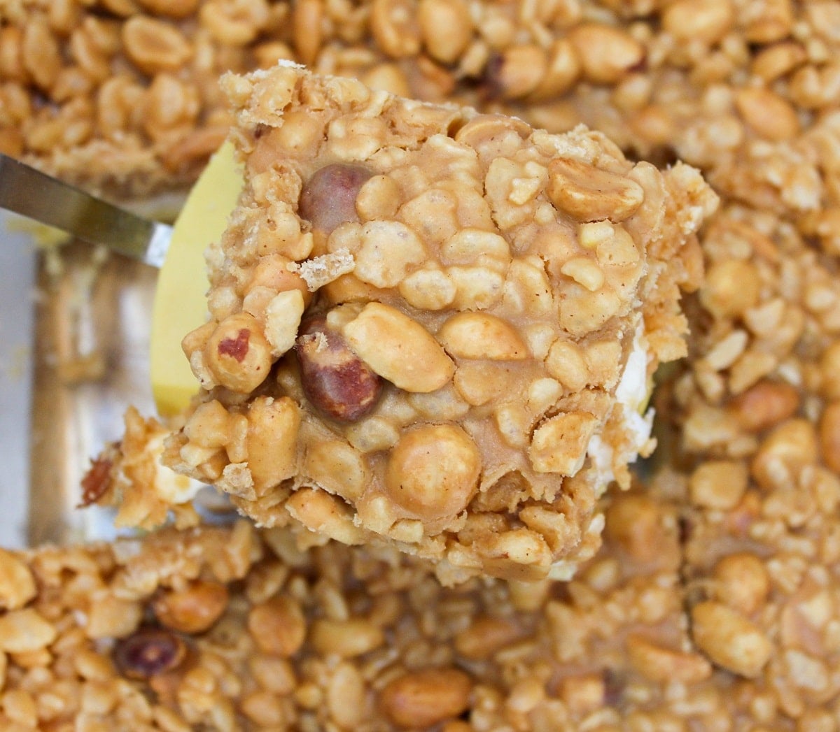 salted nut roll bar on a spatula