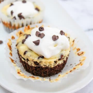 mini chocolate chip cheesecake with wrapper