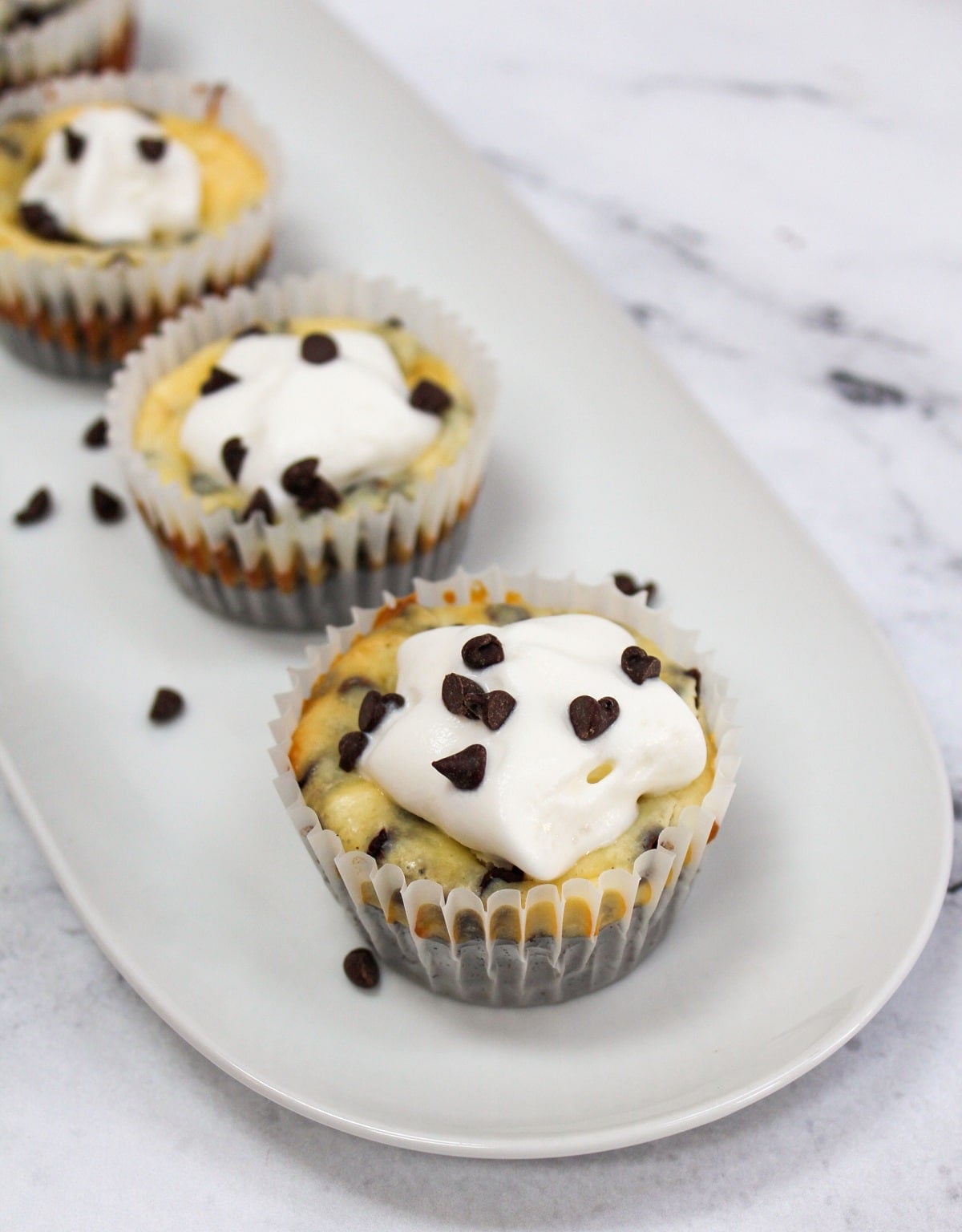 mini chocolate chip cheesecake on white plate