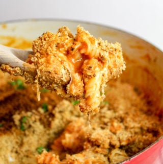 Pasta, chicken and sauce Scooped from a red pot