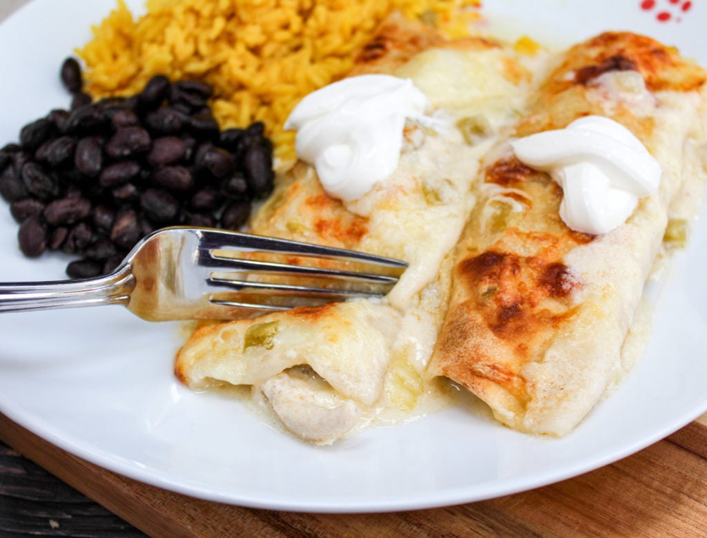 Chicken enchiladas on a plate with rice and beans