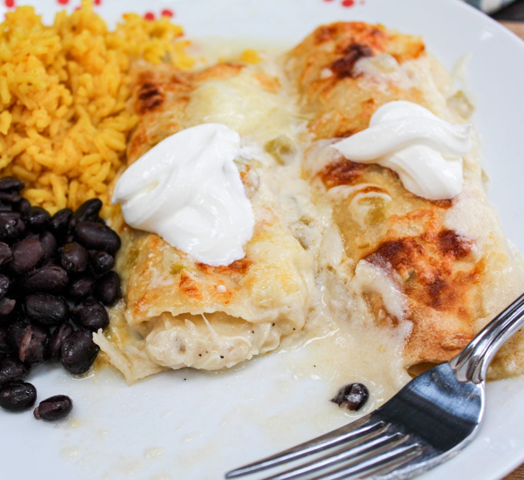Chicken enchiladas on a plate with rice and beans