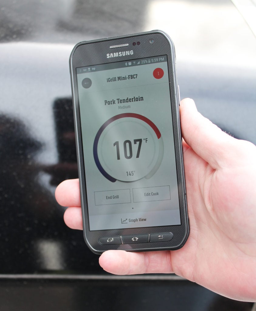 temperature thermometer demo
