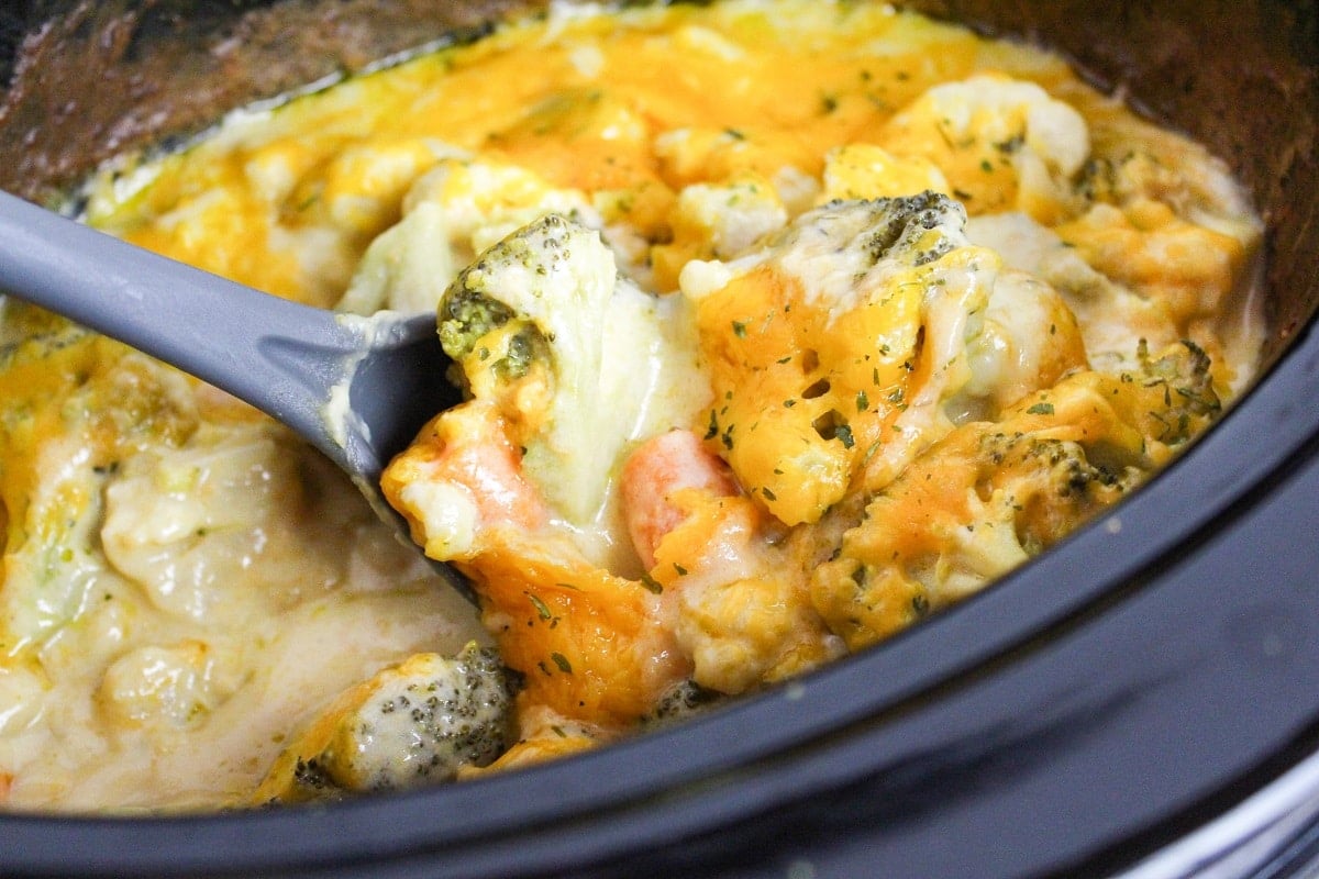 vegetables scooped from the slow cooker