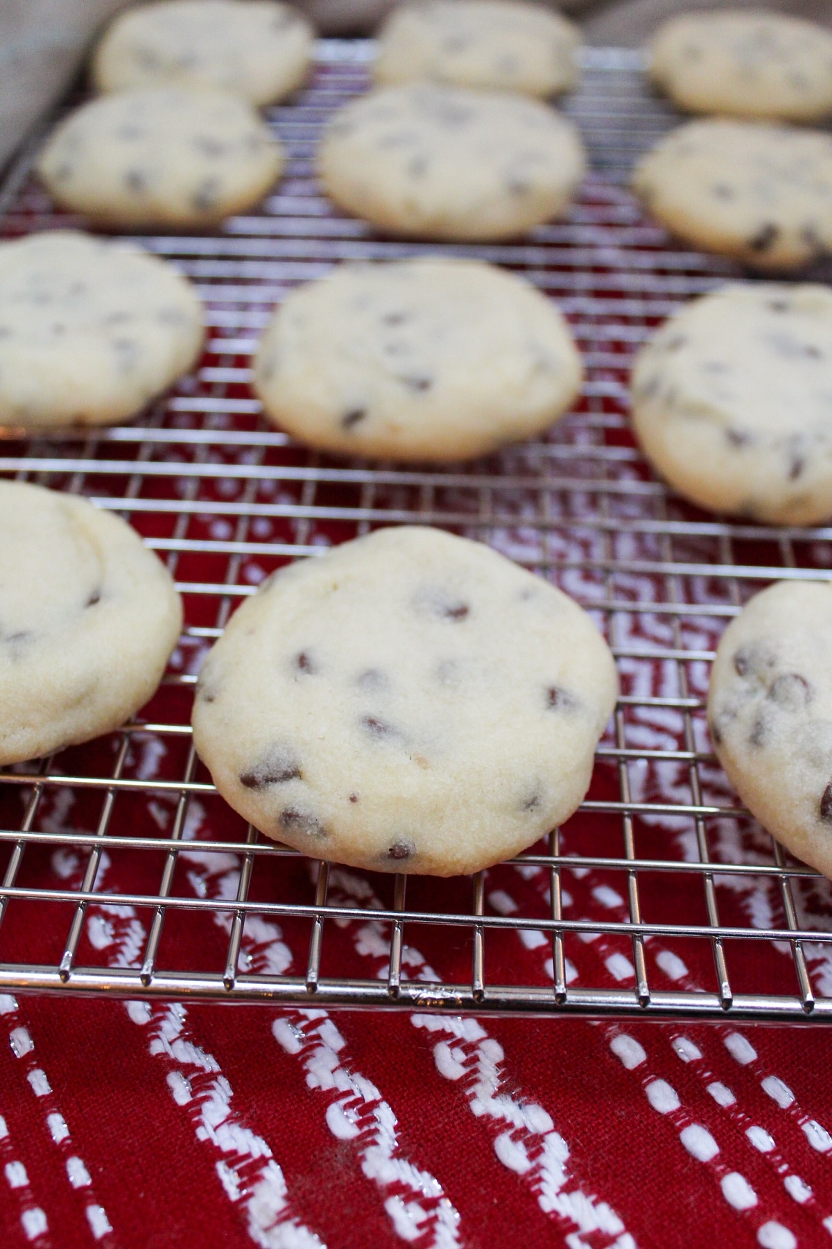 whipped chocolate chip shortbread cookies on a cooling wrack