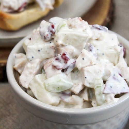 turkey apple cranberry salad in a bowl