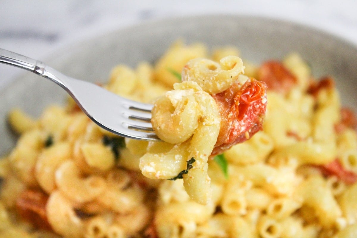 pasta on a fork