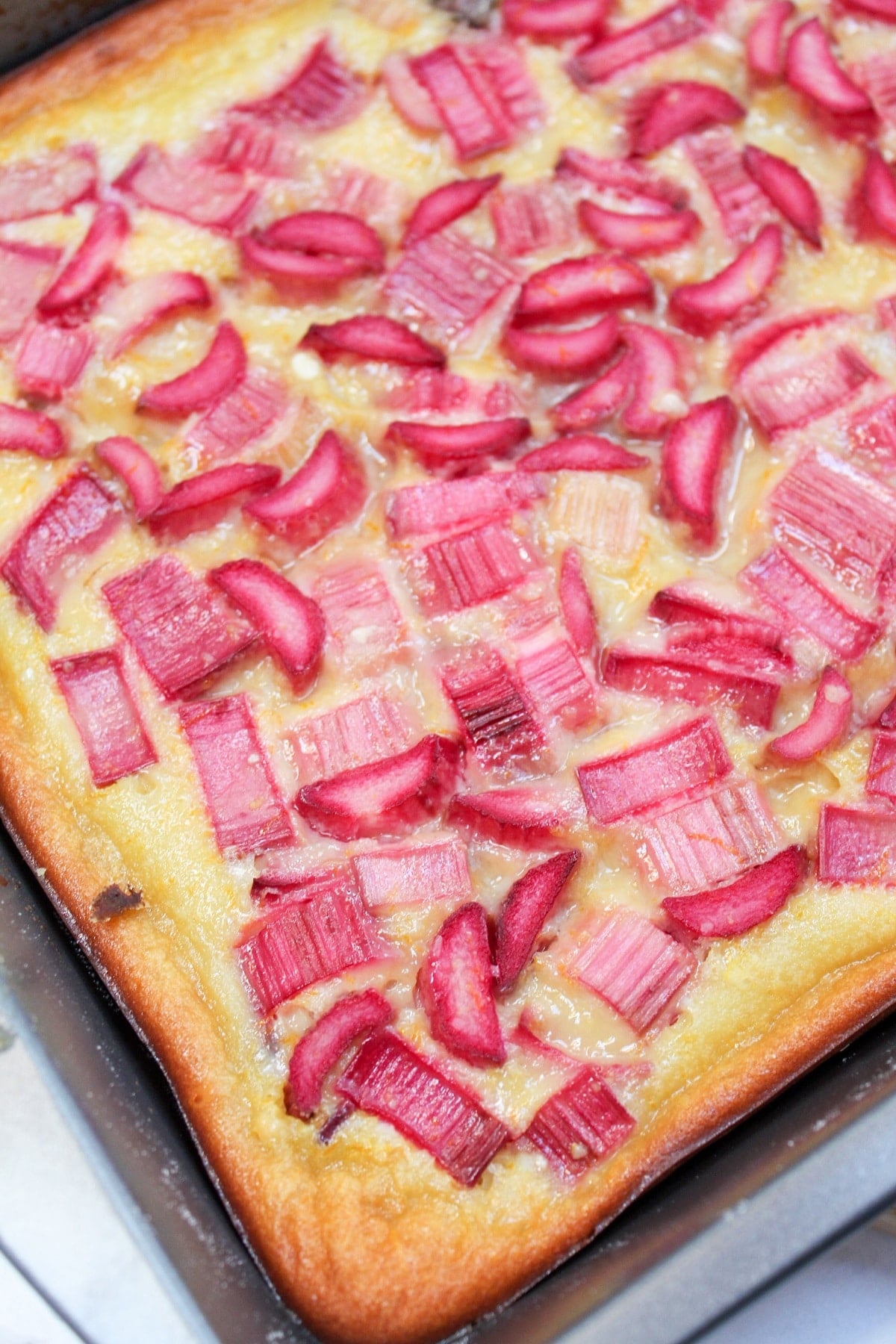 citrus rhubarb custard bars uncut in pan