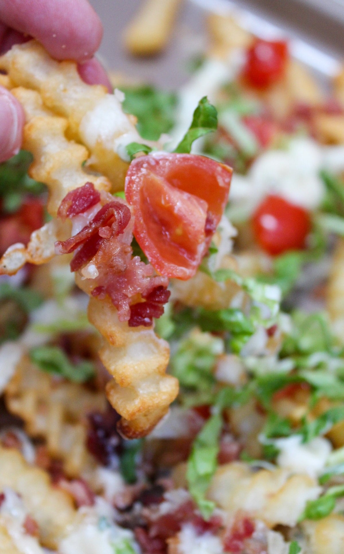 fries picked up with toppings