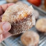 apple cider doughnuts muffin held in hand