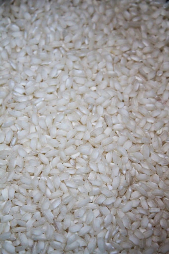 arborio rice