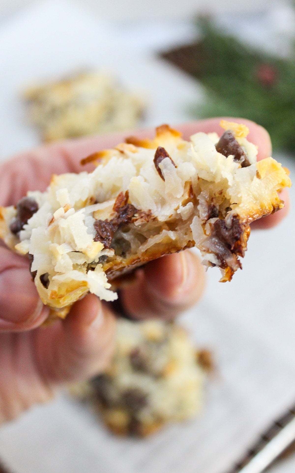 cookie with a bite taken